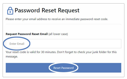 Request Reset Password